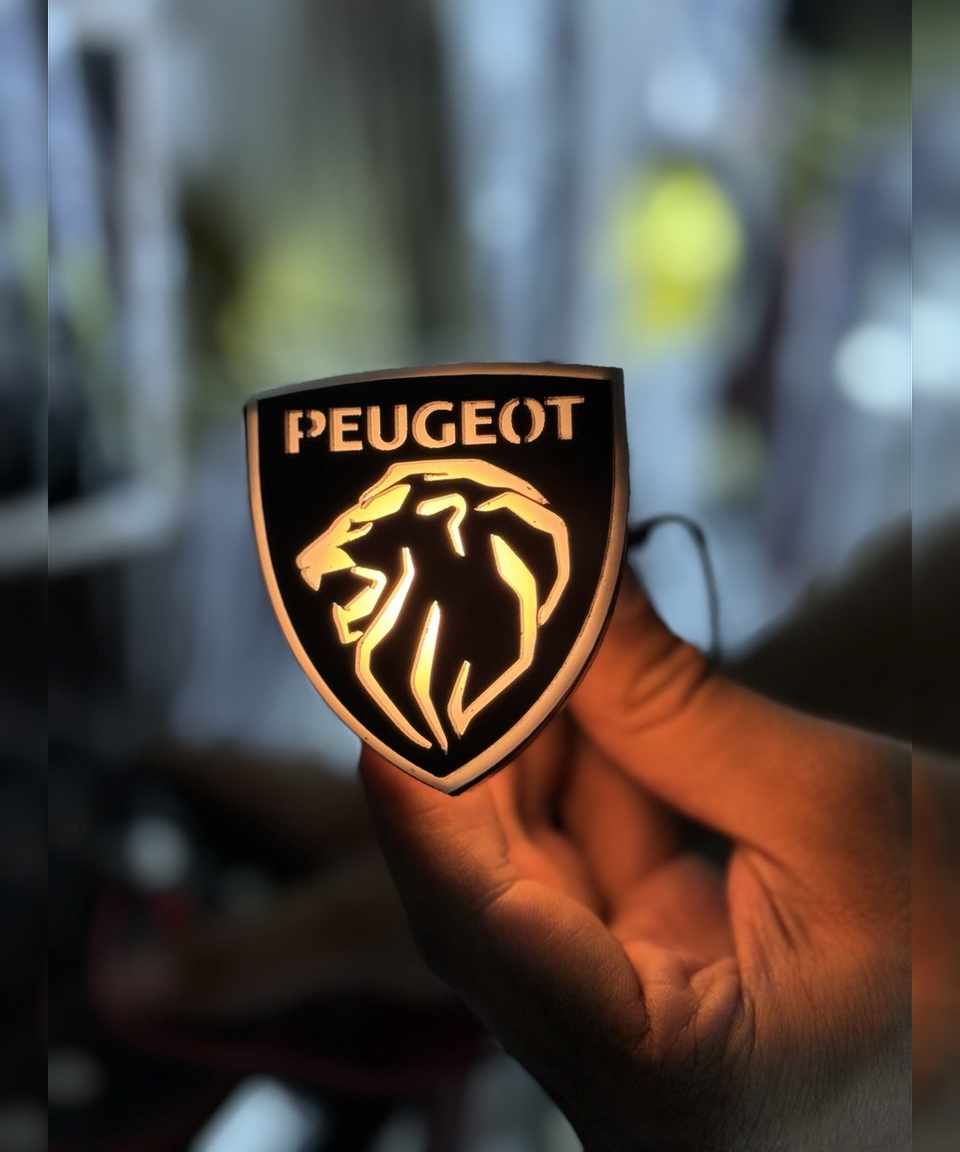 راهنما رو گلگیر پژو-guide-to-the-peugeot-fender